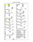 SOLUCIÓN EL ALGARROBO SA