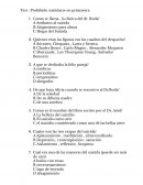 Test s/r :Prohibido suicidarse en primavera