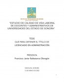 “ESTUDIO DE CALIDAD DE VIDA LABORAL DE DOCENTES Y ADMINISTRATIVOS DE UNIVERSIDADES DEL ESTADO DE SONORA"