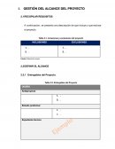GESTIÓN DEL ALCANCE DEL PROYECTO