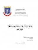 MECANISMOS DE CONTROL SOCIAL