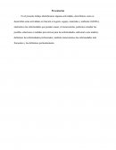 Enfermedades profesionales