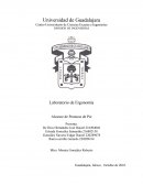 Laboratorio de Ergonomía Alcance de Posturas de Pie