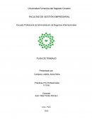 PLAN DE TRABAJO Empresa: CINEPLEX S.A