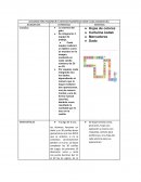 Acciones para favorecr el sentido numérico desde cada asignatura