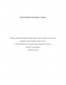 MANTENIMIENTO INDUSTRIAL