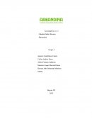 Análisis de la solución del reto. Conclusiones y Referencias