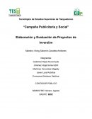 Campaña publicitaria y social. Elaboración y evaluación de proyectos de inversión