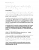 Los derechos de la mujer