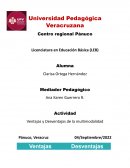 Ventajas y desventajas de la Multimodalidad