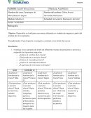 Actividad 6: Realización del brief | Estrategias de Mercadotecnia Digital