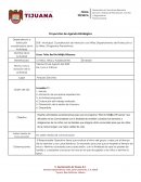 Proyección de Agenda Estratégica