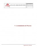 MANUAL DE LA ORGANIZACIÓN SITSSA