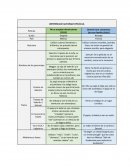 DIFERENCIAS CULTURALES PELÍCULA