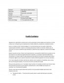 Huella ecologica