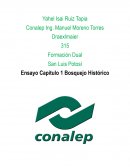 Ensayo Capitulo 1 Bosquejo Histórico