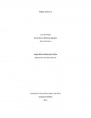 Trabajo practico TLC