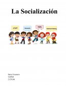 La socialización