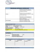 PROGRAMA INSTANCIA CURRICULAR