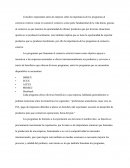 Importancia de programas de exportaciones