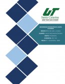 Formacion Sociocultural. Plan de vida y carrera