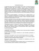 Sustentabilidad agricola