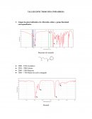 TALLER ESPECTROSCOPIA INFRARROJA