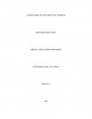 LABORATORIO DE TRATAMIENTOS TERMICOS