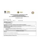 PRÁCTICA PEDAGÓGICA INVESTIGATIVA DE PROFUNDIZACIÓN (PPIP)