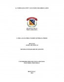 LA NORMALIZACIÓN Y LOS PAÍSES DESARROLLADOS