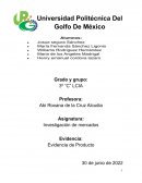 Investigacion de mercados. Evidencia de producto