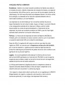 ANÁLISIS PESTLE ACERINOX