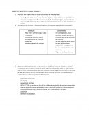 ¿Por qué son importantes las áreas funcionales de una empresa?