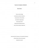 Proyecto de Investigación: SEMILLERO