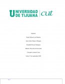 Modelo Canvas Purificadora