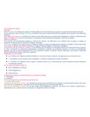 Los Conflictos de Trabajo