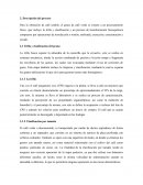 Proceso descriptivo de produccion de cafe