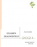 Examen diagnostico unam pedagogía