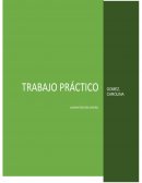 TP Administración general