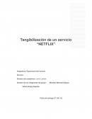 Tangibilizar el servicio de Netflix