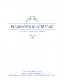 Animales y el medio ambiente