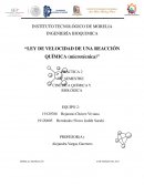 LEY DE VELOCIDAD DE UNA REACCIÓN QUÍMICA (microtécnica)