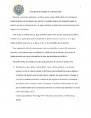 Descripción del soldado en la última década