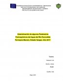 Determinación de algunos Parámetros Fisicoquímicos del Agua del Rio Escondido