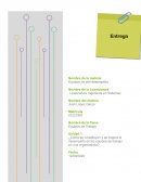 Cómo se constituyen y se mejora el desempeño de los equipos de trabajo en una organización?