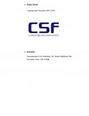 Informe empresa Agrosuper