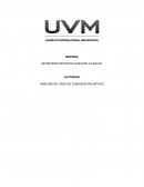 ANÁLISIS DE CASO DE CUIDADOS PALIATIVOS