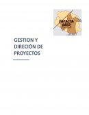 Mi producto o servicio Mínimo viable