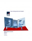 Hidroponías San Merlín