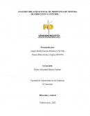ANALISIS ORGANIZACIONAL III: PROPUESTA DE SISTEMA DE DIRECCIÓN Y CONTROL